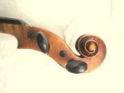 Geige Meisterinstrument Sachsen
